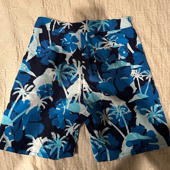 Men’s Blue Palm tree Hawaiian swim shorts! Velcro closure. Size- 32.Phys.Sci. - Picture 8 of 9